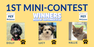 2024 Coolest Pet Contest first mini-contest winners